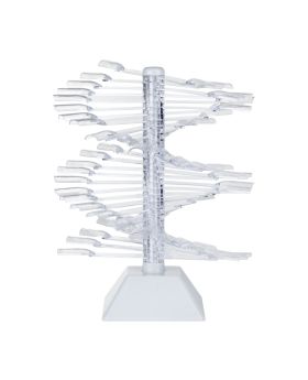 Verticale sample display